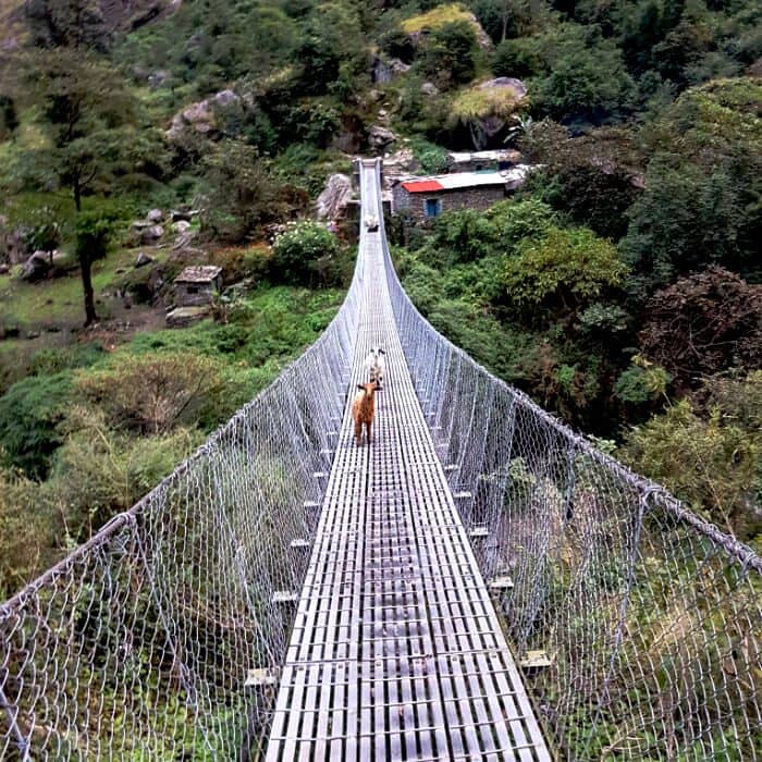Suspension Bridge in Tsum valley trek