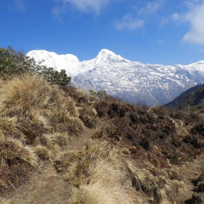 View on the way to Mardi Himal Trek